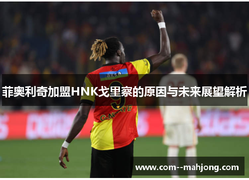 菲奥利奇加盟HNK戈里察的原因与未来展望解析