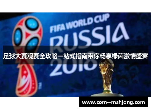 足球大赛观赛全攻略一站式指南带你畅享绿茵激情盛宴