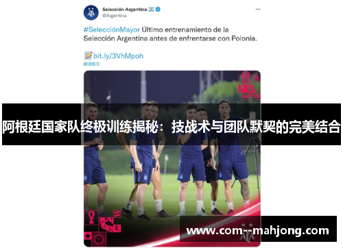 阿根廷国家队终极训练揭秘：技战术与团队默契的完美结合