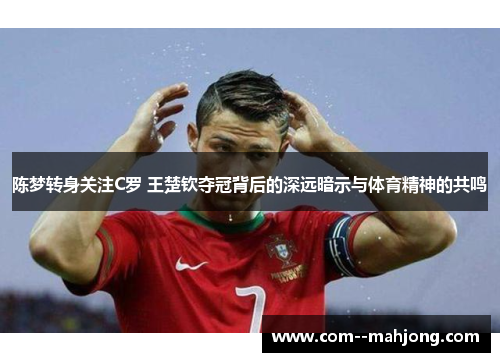 陈梦转身关注C罗 王楚钦夺冠背后的深远暗示与体育精神的共鸣