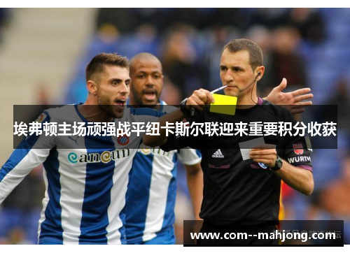 埃弗顿主场顽强战平纽卡斯尔联迎来重要积分收获