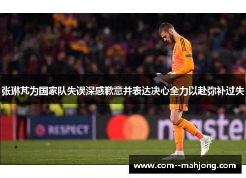 张琳芃为国家队失误深感歉意并表达决心全力以赴弥补过失