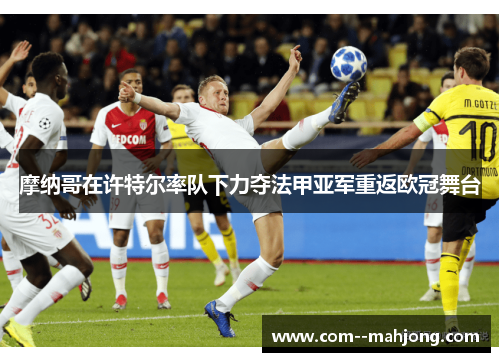 摩纳哥在许特尔率队下力夺法甲亚军重返欧冠舞台 摩纳哥在许特尔率队下力夺法甲亚军重返欧冠舞台